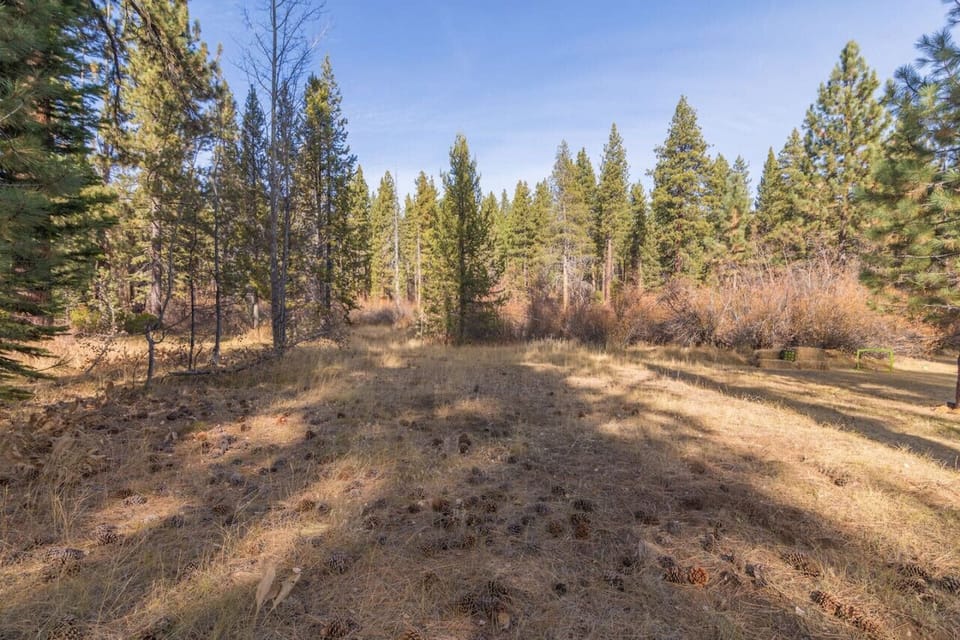 View looking out towards backyard.  Cabin backs to open space.