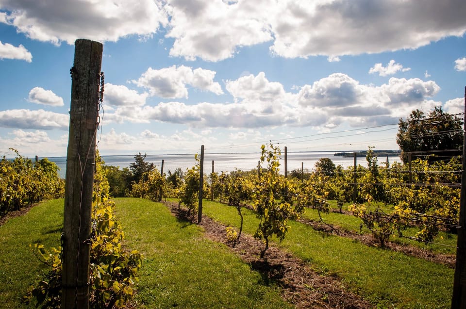 Close to wineries, breweries, wedding venues - Drake Devonshire, 100 acres, Base 31 & art galleries