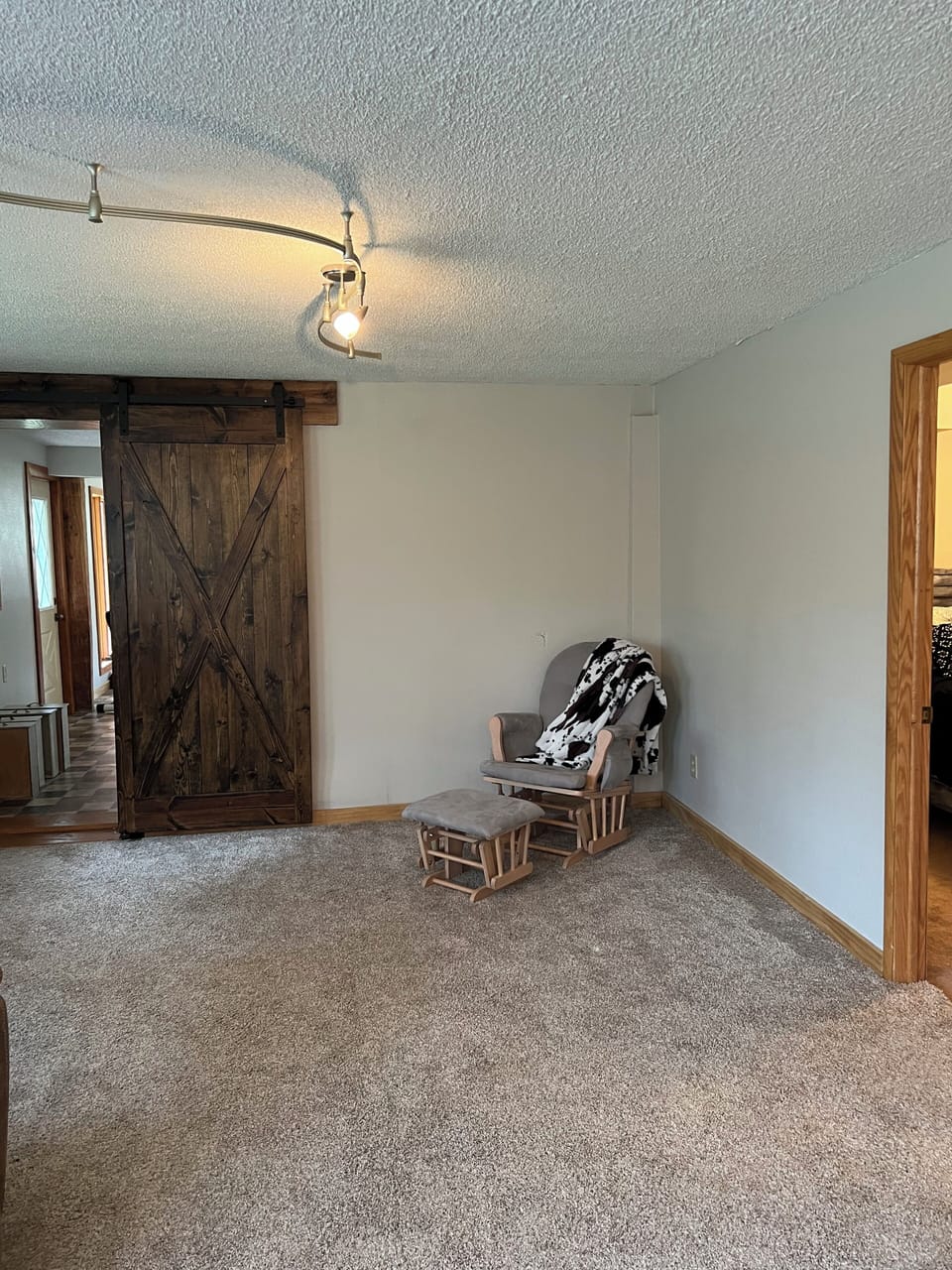 Basement Living Room