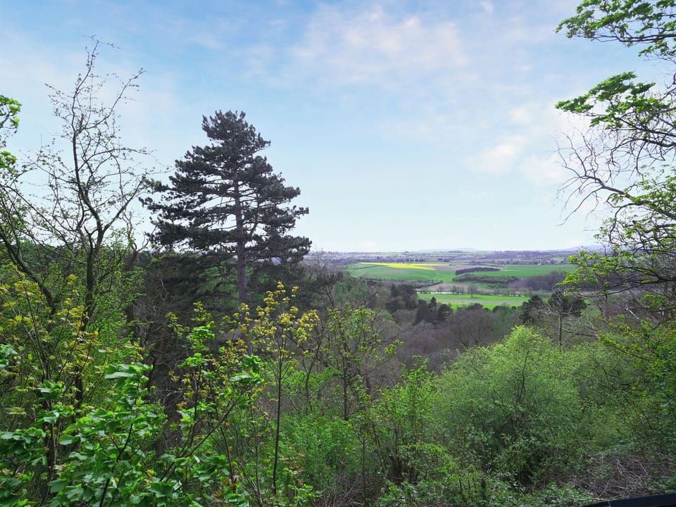 Outdoor area | The Hideaway, Quatford, near Bridgnorth