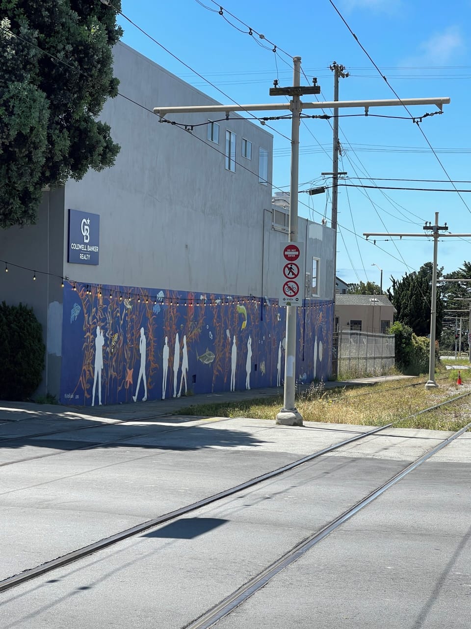 Explore the beautiful murals drawn by local artists in the neighborhood