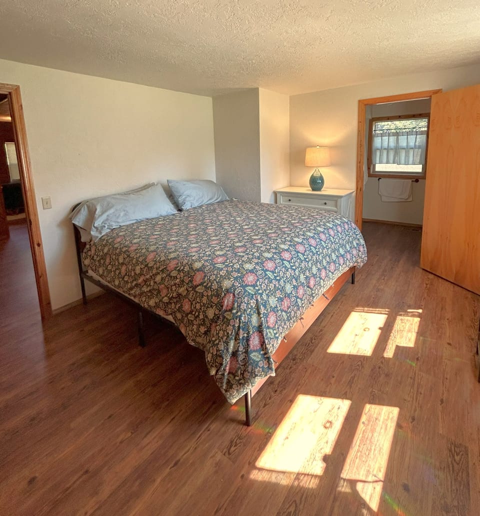 Primary Downstairs bedroom