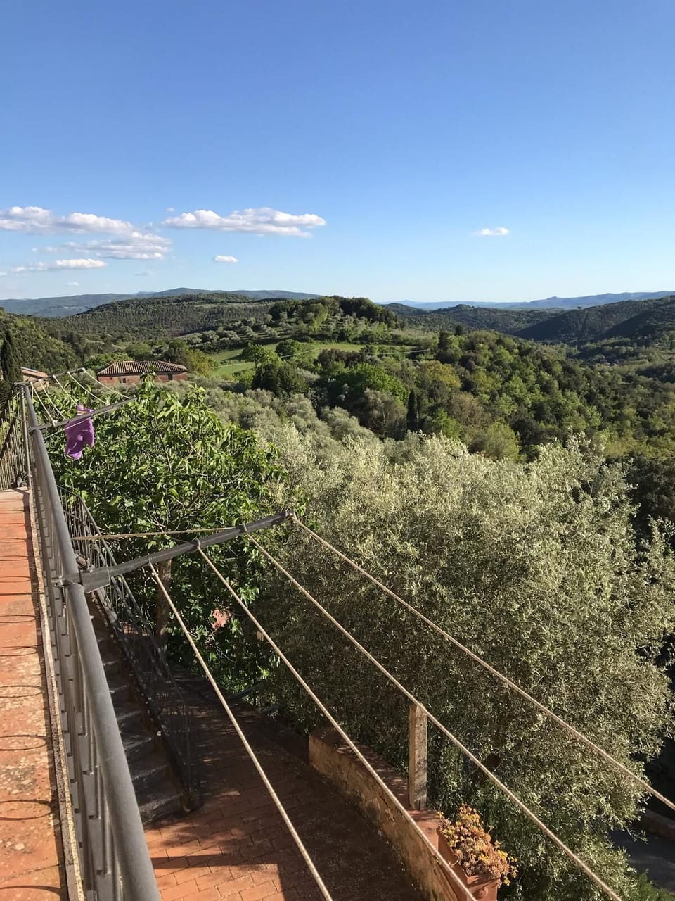 View from property