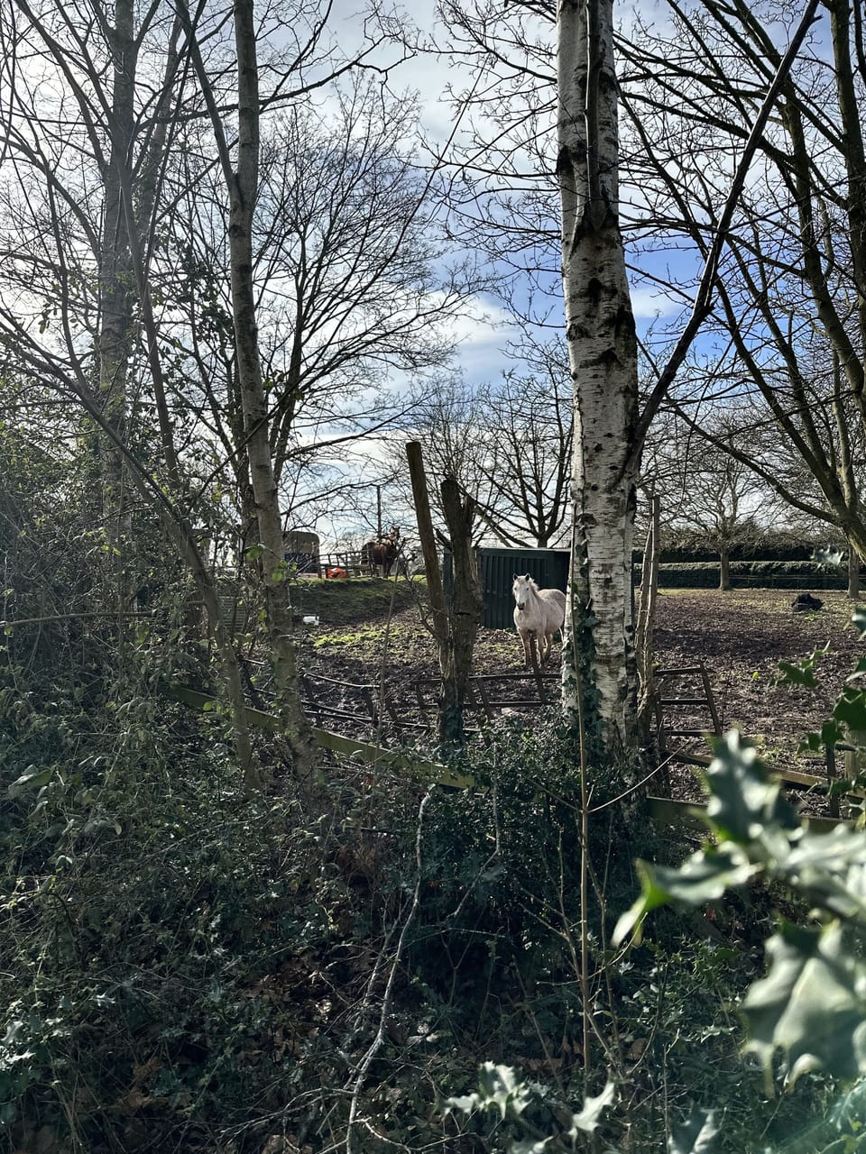 Apartment | Property grounds