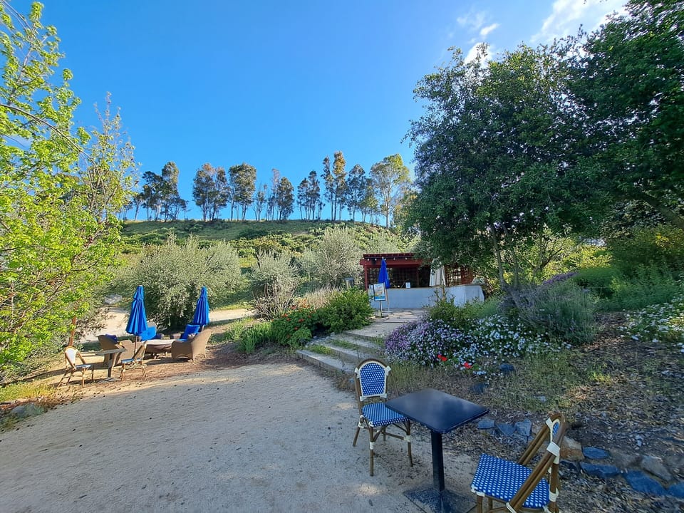 Vindemia Estate Vineyard & Winery tasting bar