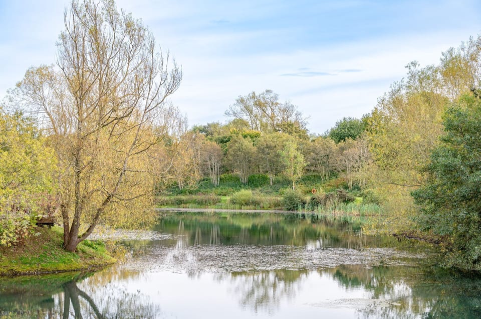 Lake view at Abbey, surrounded by mature trees and natural woodland.