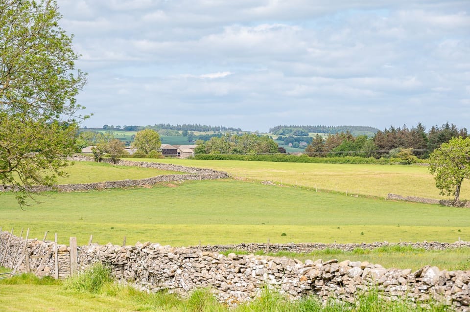 Bearskin garden view looking across the garden towards a stone wall and distant countryside.