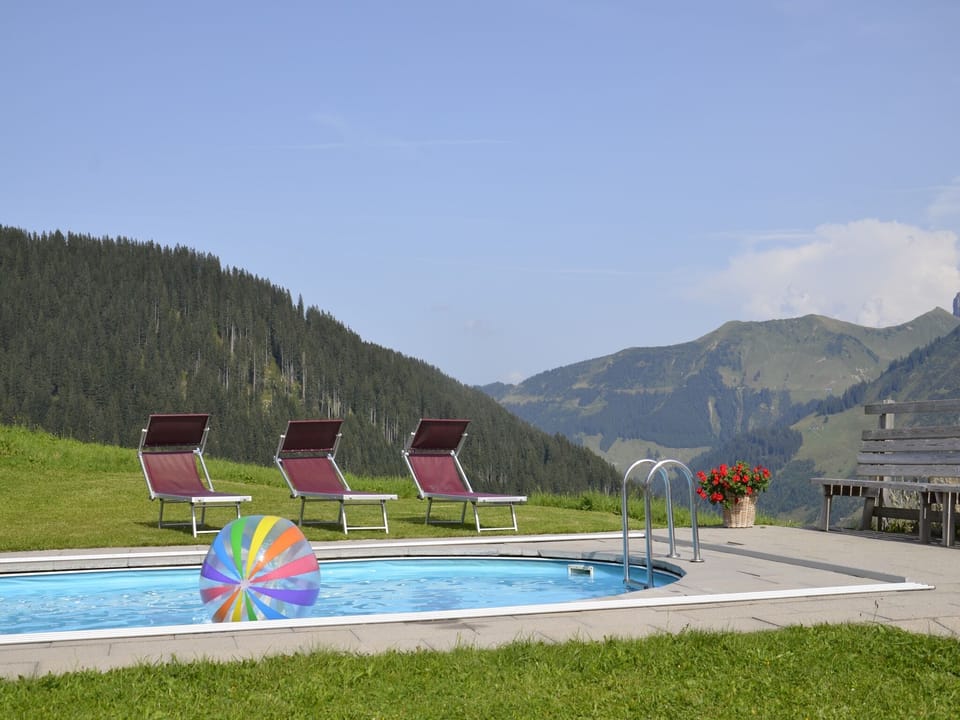 Holiday Home Swimming Pool