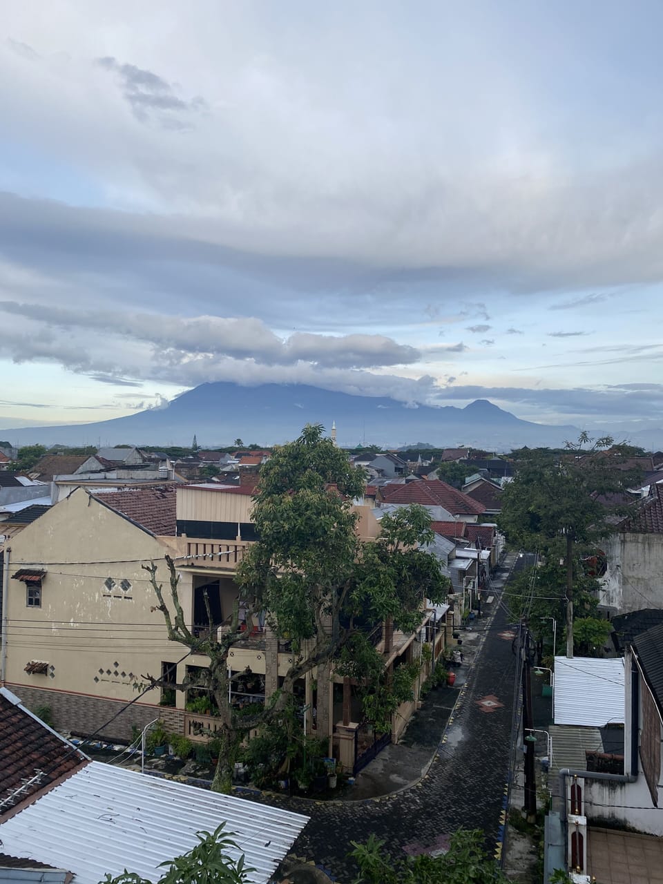 Deluxe Double or Twin Room | Mountain view