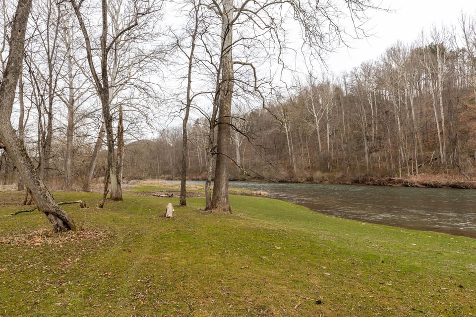 Mature trees for shade along the bank.