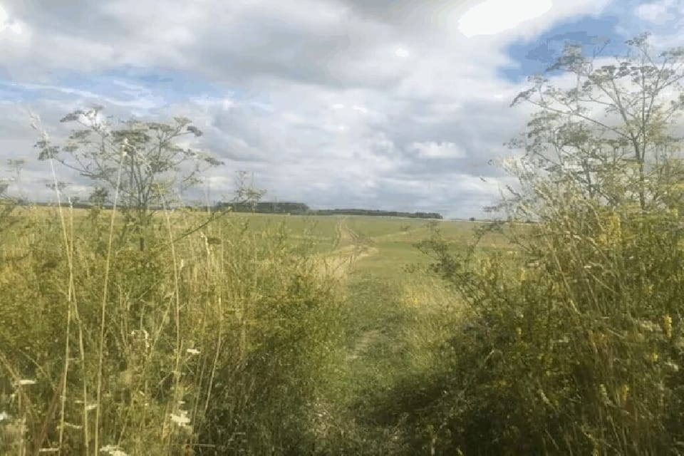 Image of Salisbury Plain