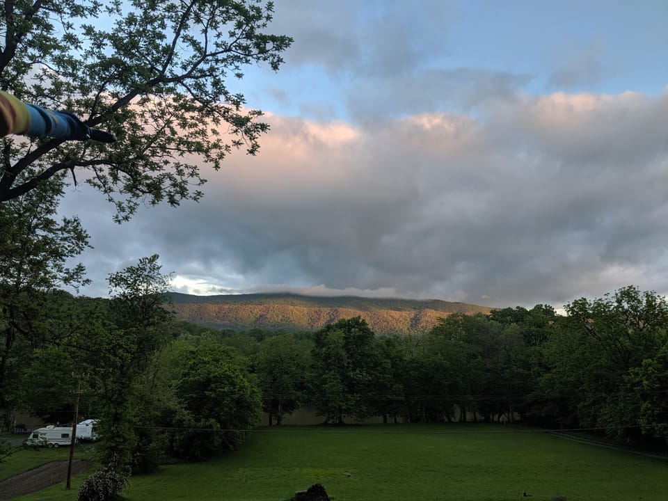 Grass, Field, Grassland, Nature, Outdoors