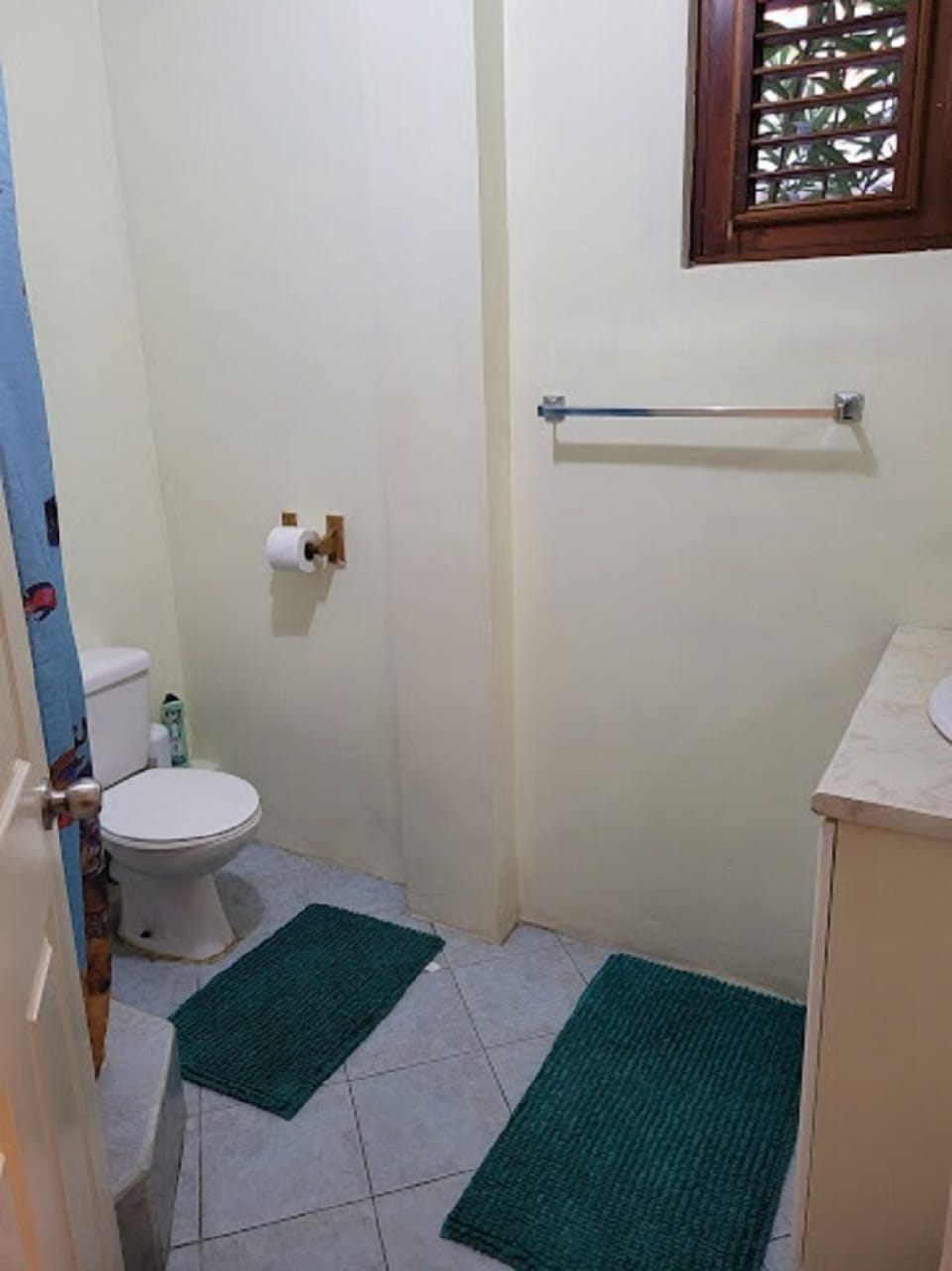 Free toiletries, hair dryer, towels, toilet paper