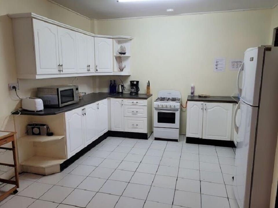 Basic Apartment | Private kitchen | Mini-fridge, microwave, electric kettle, cookware/dishes/utensils
