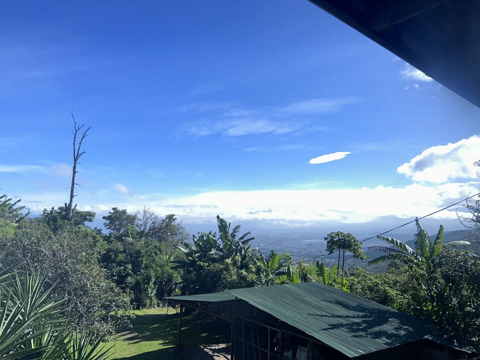 View from property