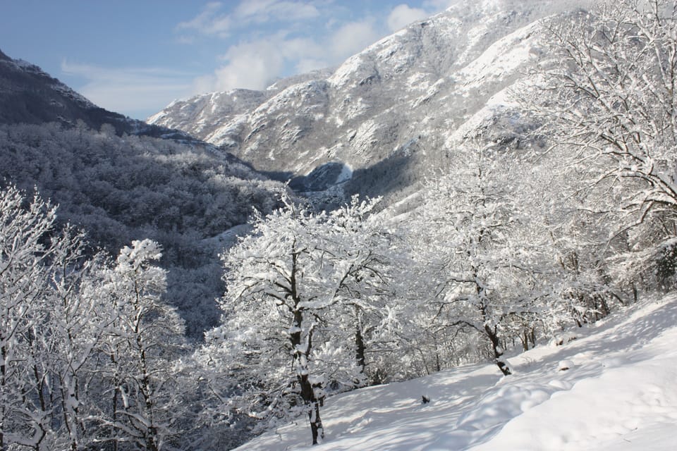 Snow and ski sports