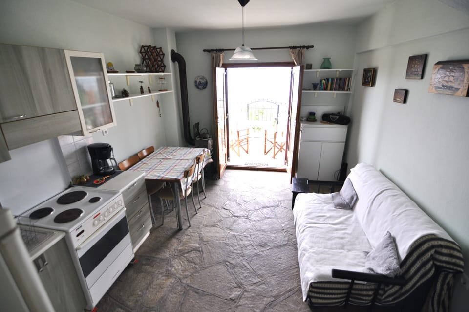 Executive Apartment | Private kitchen | Fridge, oven, electric kettle, blender