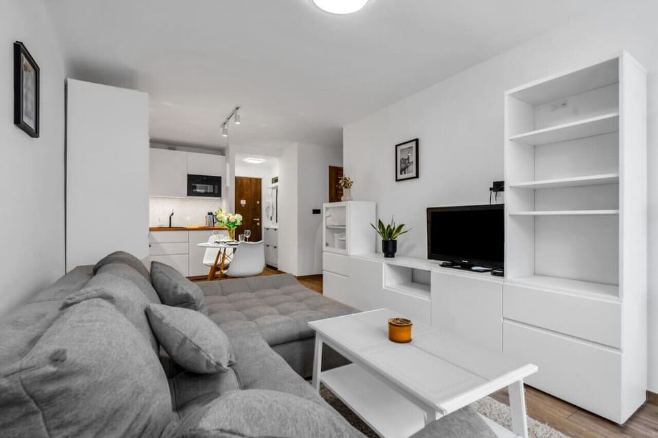 Comfortable Living Room with Sofa Bed and Smart TV | Book Now with RENTUJEMY