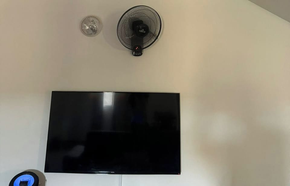 Television