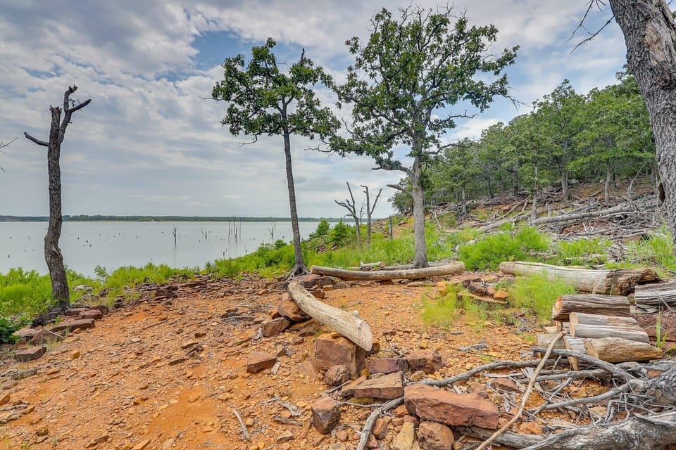 Nature, Outdoors, Scenery, Land, Tree