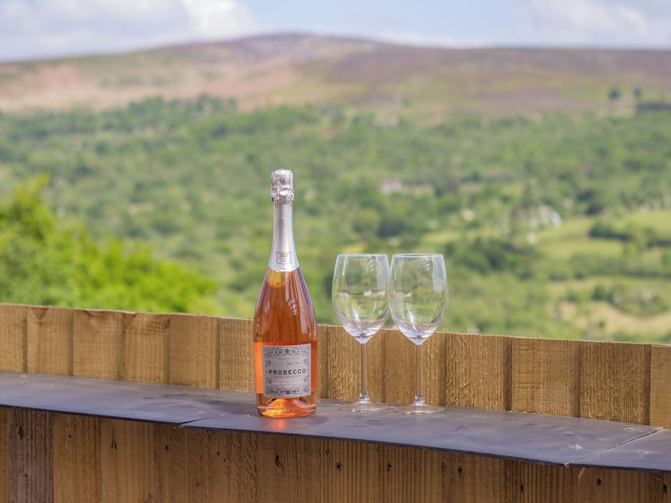 View | Hoglet Cottage, Ammanford
