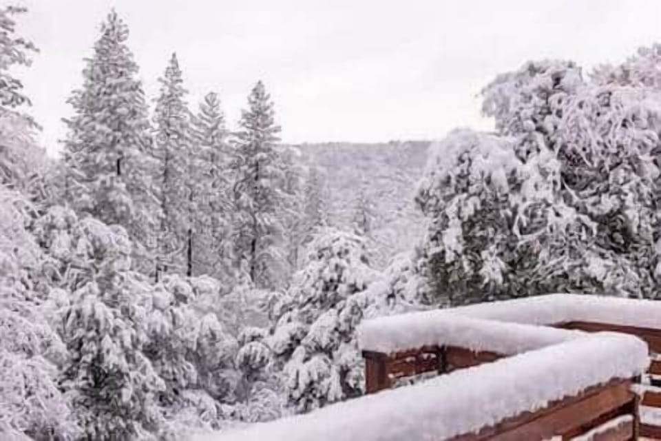 View from our Deck right after snow-fall