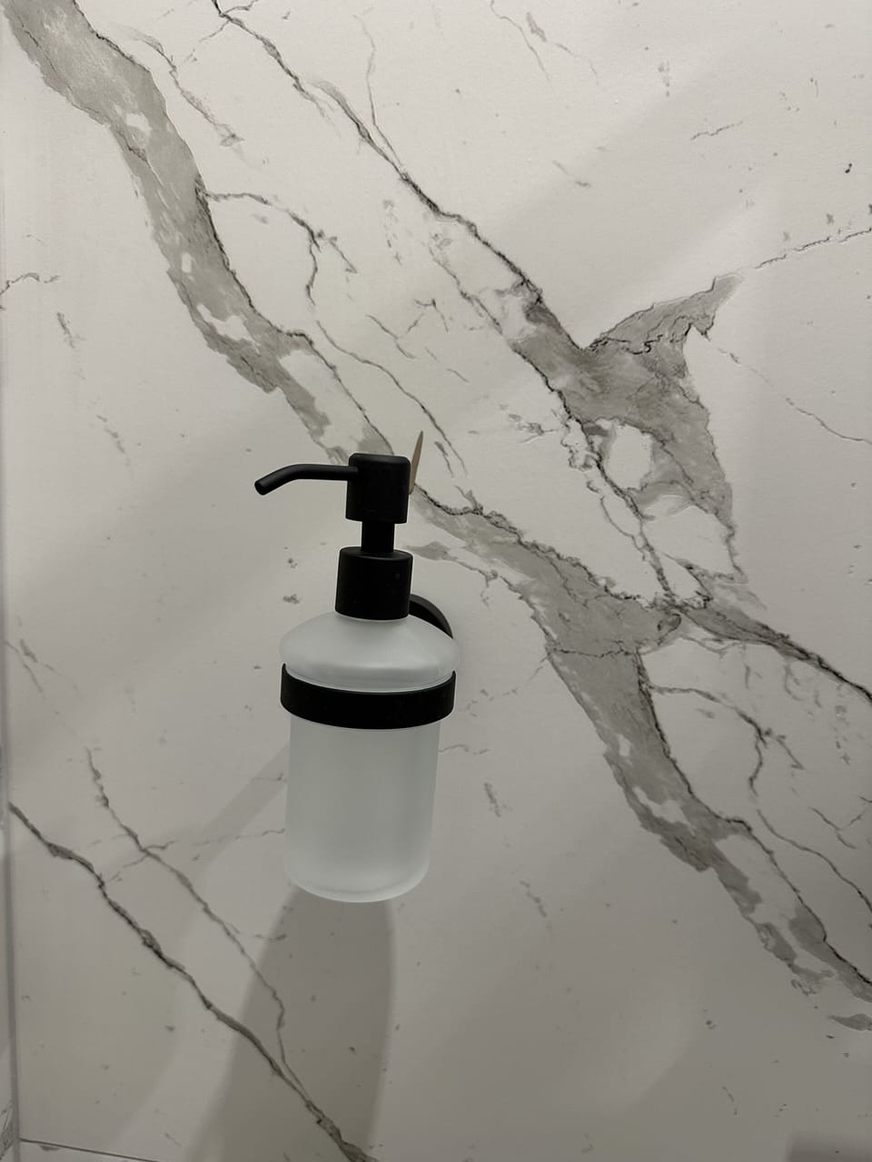 Hair dryer, soap, shampoo, toilet paper
