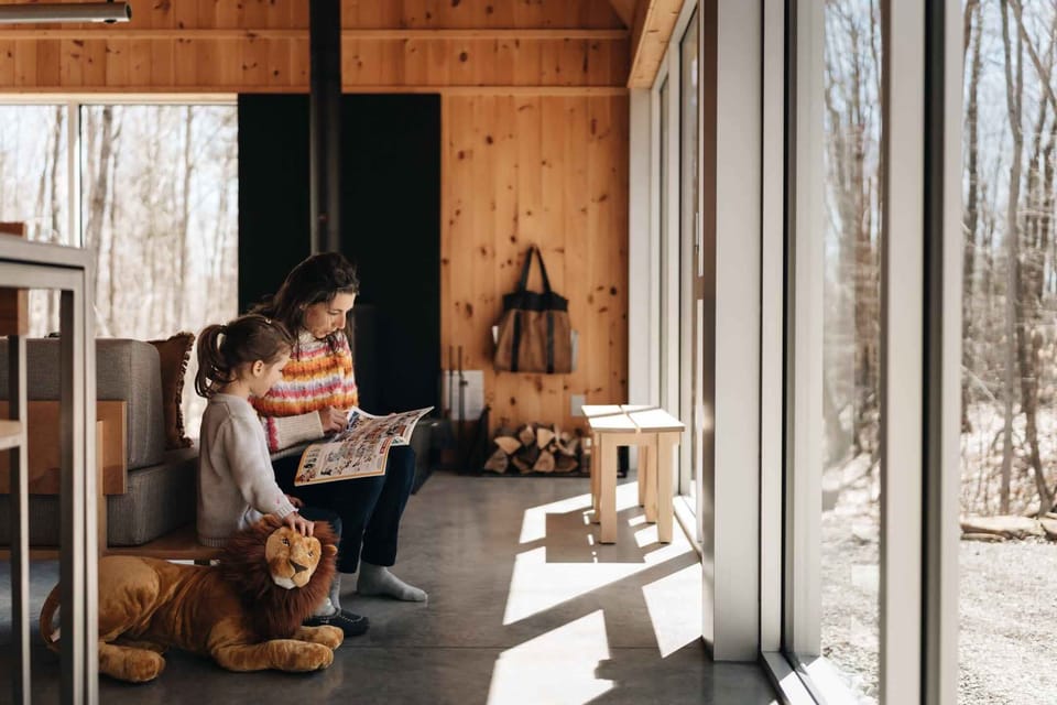 Connect and create memories amidst sunlit woods.