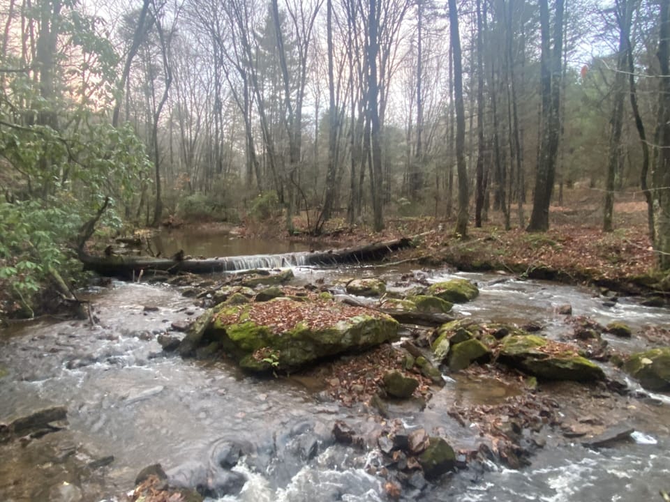 Cabins are feet from north fork of Tye River
