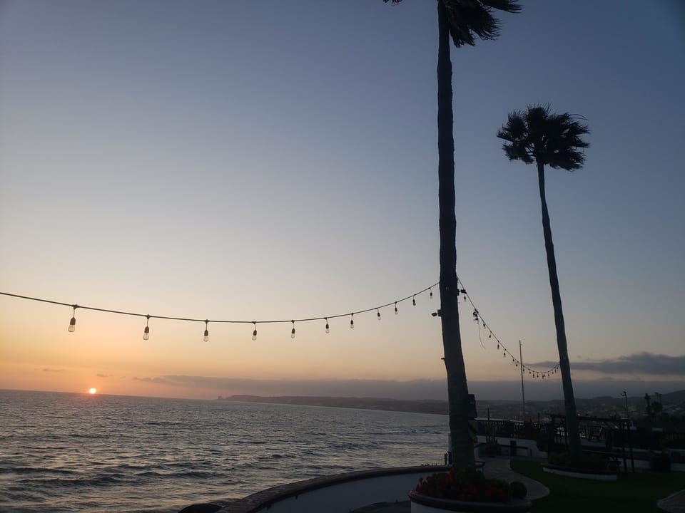 Sunset by the palm trees