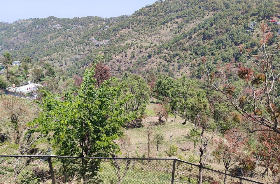 View from property