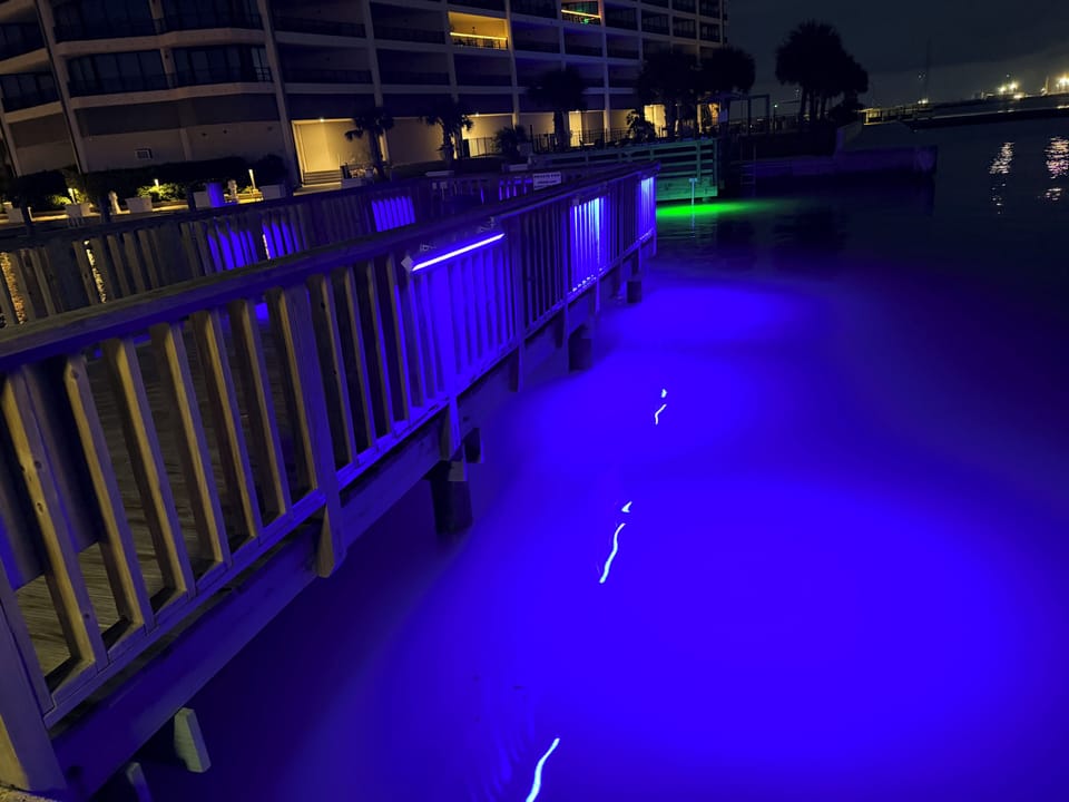 Night time fishing lights