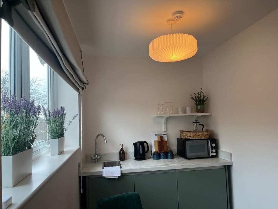 Deluxe Room | Private kitchen | Coffee/tea maker, highchair, eco-friendly cleaning products
