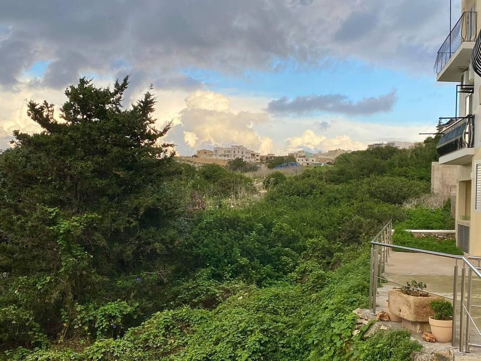 the view from your patio
