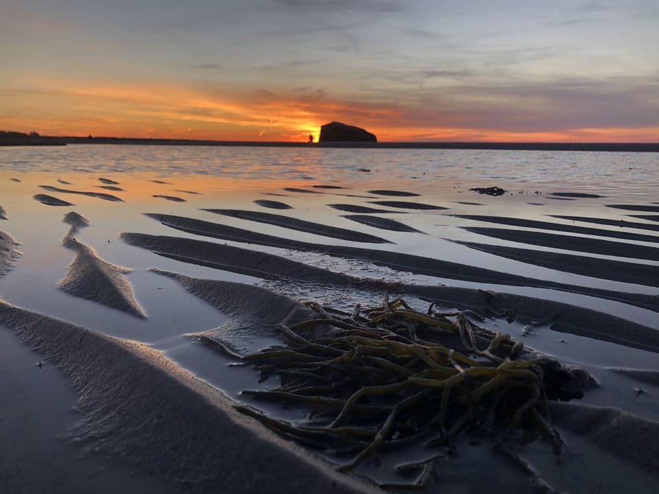 Beach nearby, sun loungers, beach umbrellas, beach towels