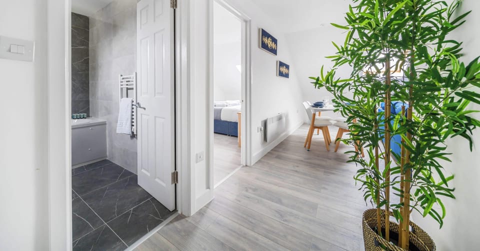 A TOUCH OF GREEN TO BRIGHTEN THE SPACE