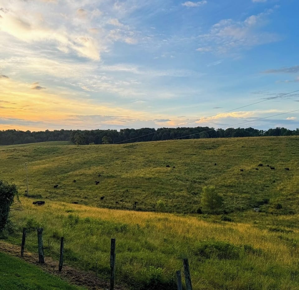 Sunset view off of back deck