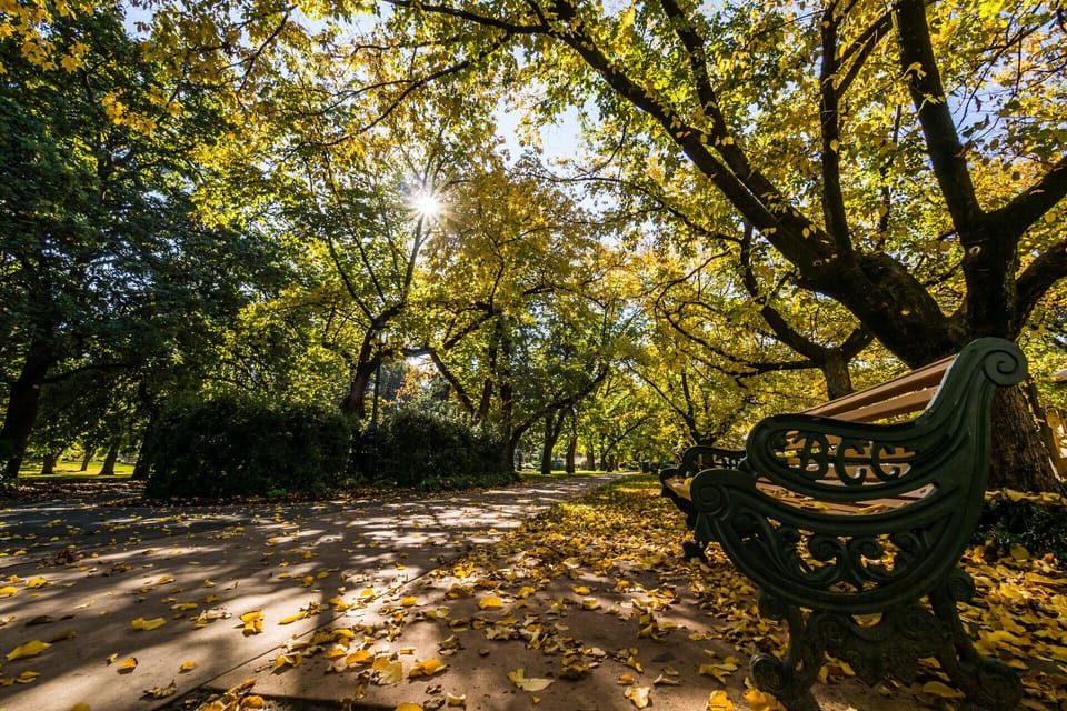 Roseland Park