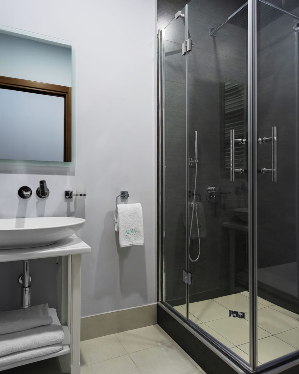 Standard Room - Street View | Bathroom | Shower, free toiletries, hair dryer, slippers
