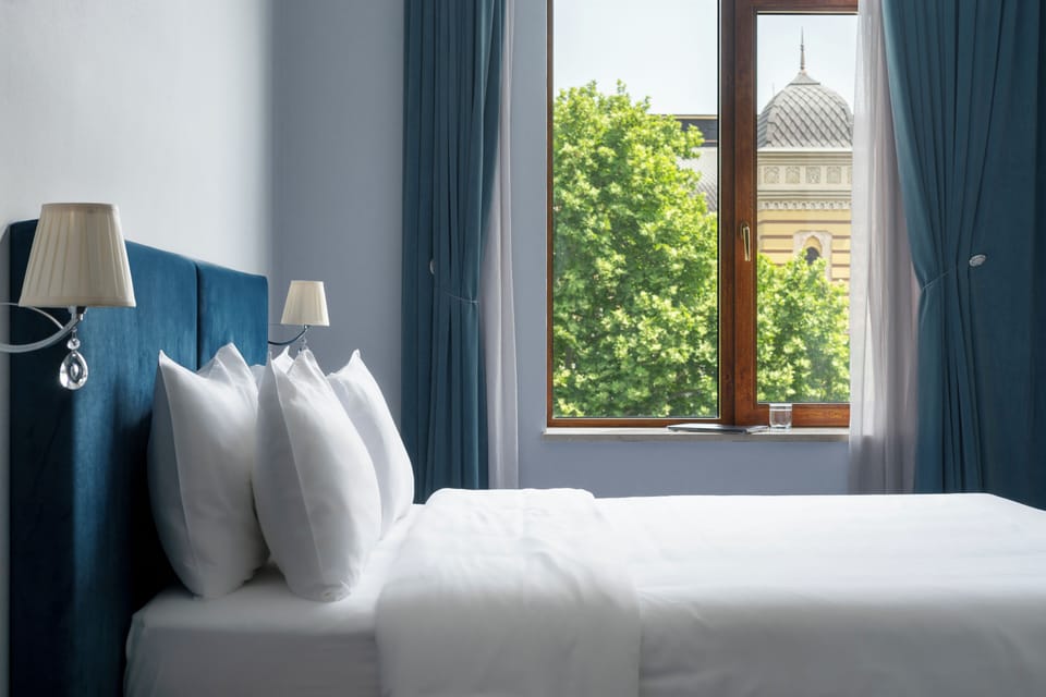 Deluxe Room - Opera View | View from room