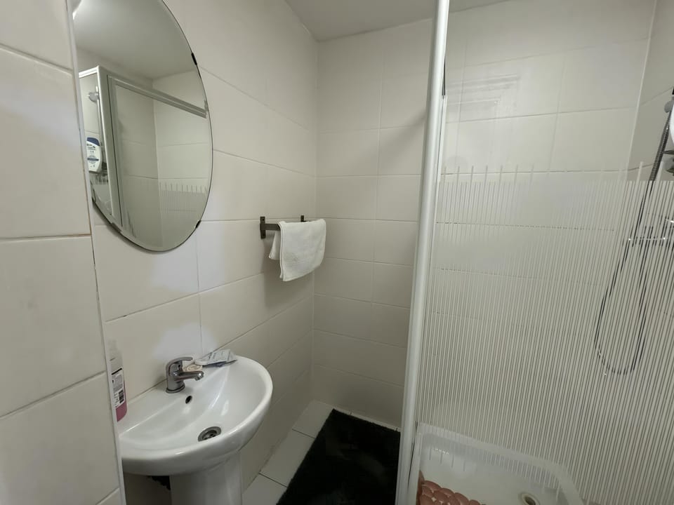 Apartment | Bathroom | Shower, hair dryer, towels