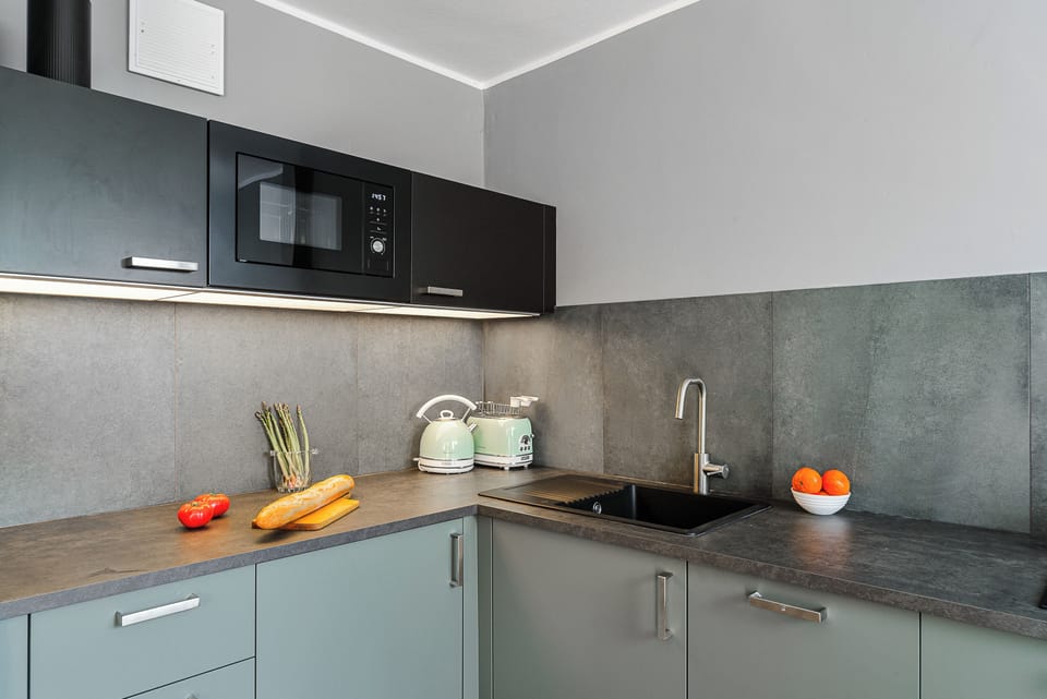 Apartment | Private kitchenette | Fridge, microwave, stovetop, dishwasher