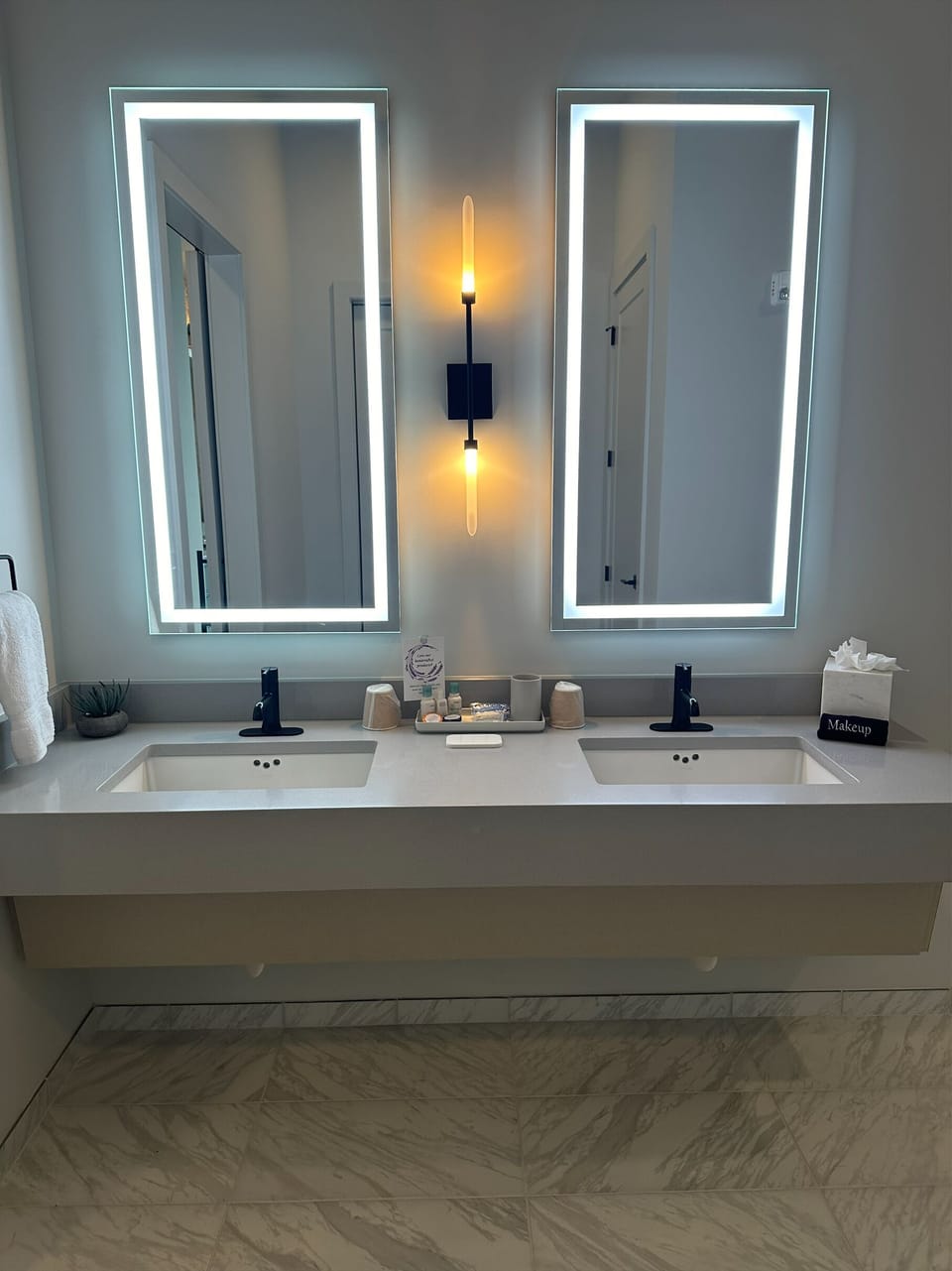 Large Double Sink