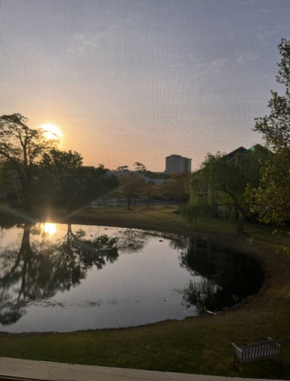 Sunrise outside your window