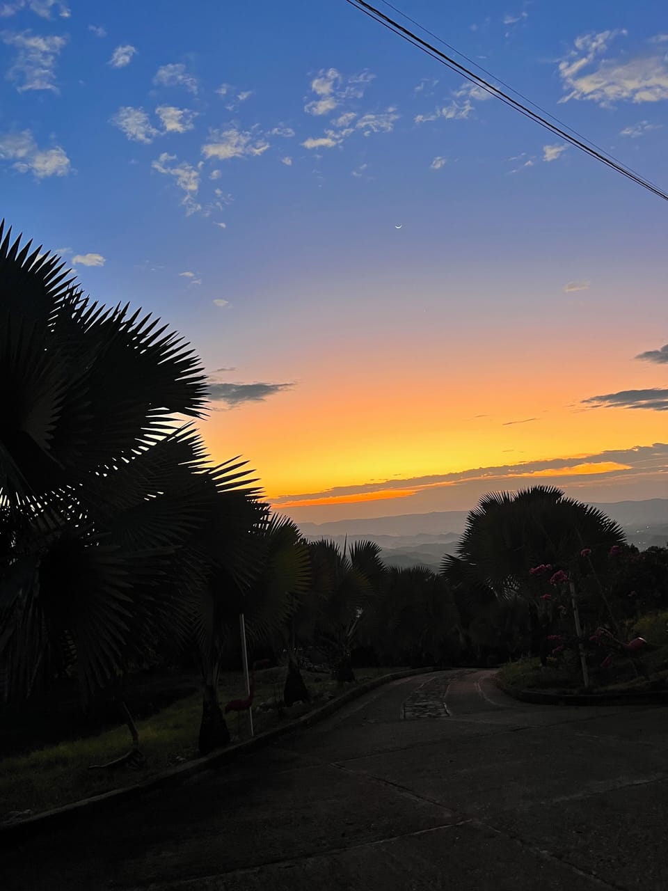 View from property