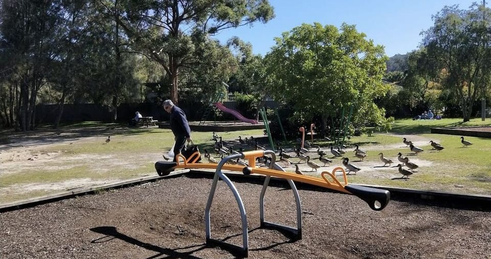 Nearby playground