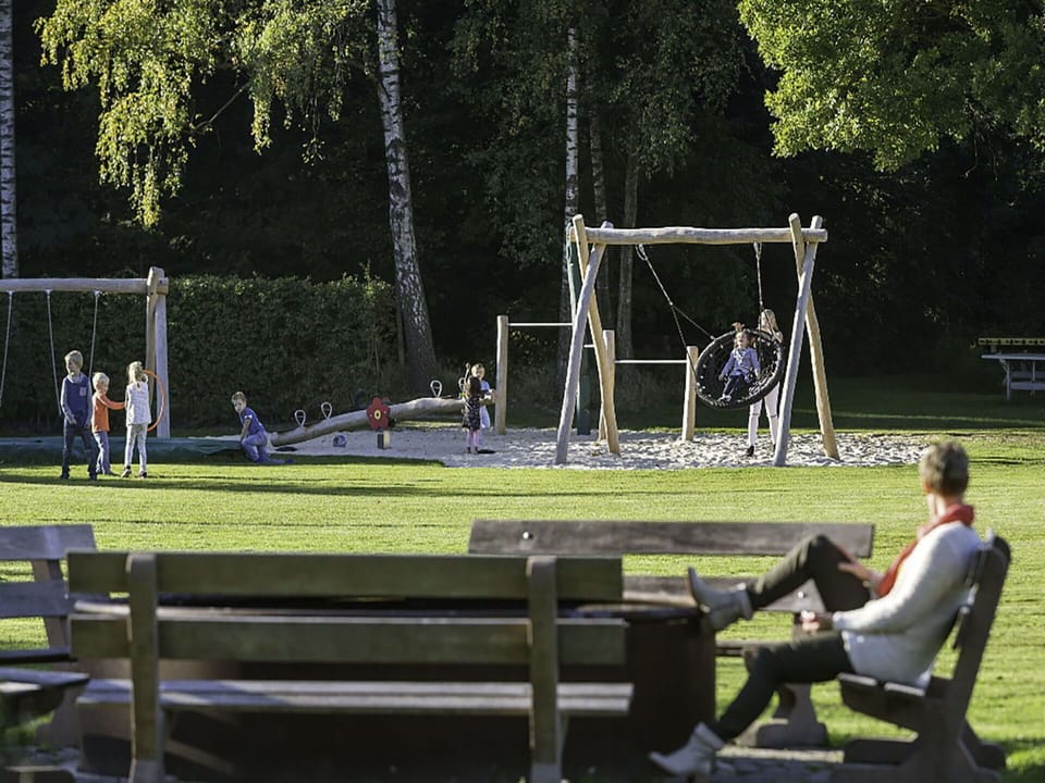 Plant, Tree, Yellow, Outdoor Bench, Grass, Leisure, Public Space, Bench, Recreation