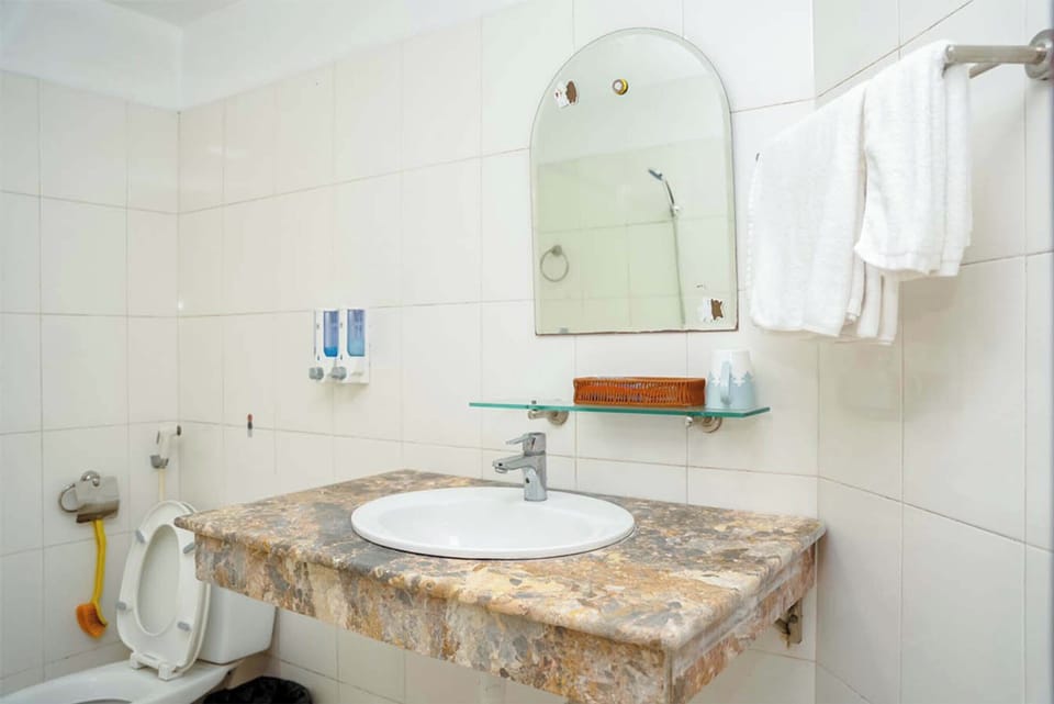 Hydromassage showerhead, hair dryer, electronic bidet, towels