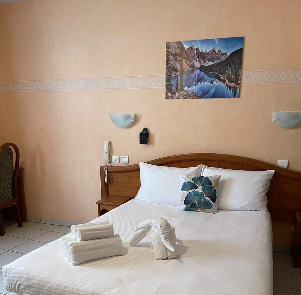 Classic Double Room | Iron/ironing board, free WiFi