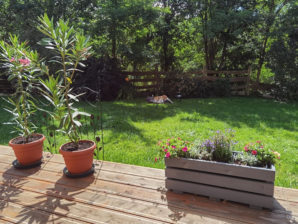 Apartment | Property grounds